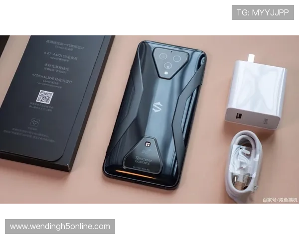 问鼎正规官网不断创新服务内容满足不同用户多样化的使用需求