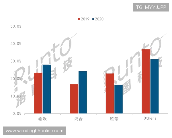 问鼎网站：结合最新技术打造高效稳定的企业官方网站策略解析